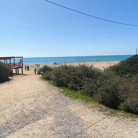 Ocean Terrace *