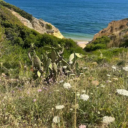 아파트 Ocean Terrace Armação de Pêra