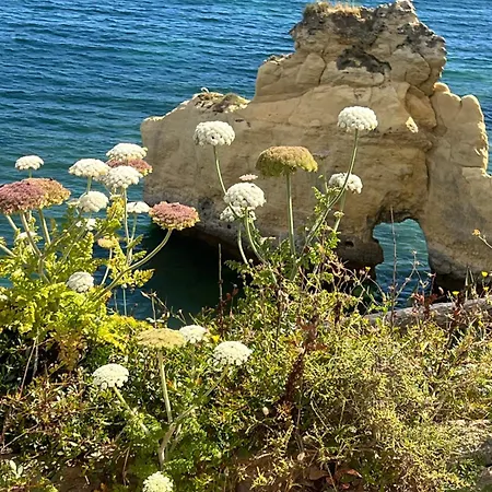 公寓 Ocean Terrace Armação de Pêra